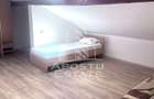 Apartament 1 camera,mansarda, de inchiriat, zona Dambovita,Timisoara - 3