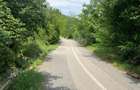 Teren de 10000 mp, în Căzănești (Milcoiu) - 3