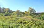 Teren de 528 mp, în Gruia - 5