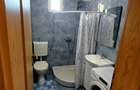 Apartament cu 1 camera de inchiriat - 40 mp - Marasti, str. Dambovitei - Cluj-Napoca - 5