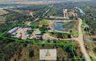 Platformă Industrială 38.615 mp | Hale | Dărăști-Ilfov - 4