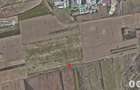 Oportunitate investitie Teren Sere Viile Noi de vanzare - 5