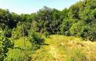 Casă individuală cu 2 camere cu Teren 920 Mp în Ginta - 14