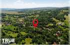 Casa de vacan?a premium 170 m2 Teren 2.500 m2 Bistra Mure?ului - 1