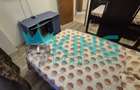 Apartament cu 3 camere semidecomandat în Unirii - 7