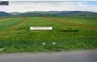 Teren extravilan de 2900 mp, în Tărlungeni - 2