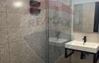 Apartament cu 2 camere decomandat în Grozăvești - 9