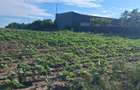 Teren agricol 1000mp, acces asfaltat, 35.000 EUR - 6