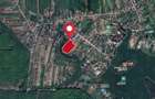 Silistea Snagovului, Teren 23.761 mp, deschidere 226 ml catre lac - 4