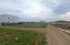 Teren intravilan de 550 mp, în Balotești - 5