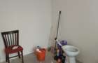 Vand garsoniera parter - 5