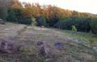 Vand teren in zona de deal-munte ,la 5 km de Manastirea Curtea de Arges,in com.Valea Iasului ,ARGES - 1