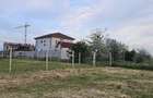 Teren intravilan de 500 mp, în Viile Noi - 1