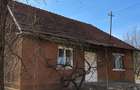 Casa la ?ara cu livada lini?te, natura ?i amintiri din copilarie Dabaca - 2