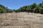 Teren intravilan 18.259 mp + construc?ie industriala, Mar?a - 4