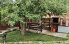 Vand casa Lechincioara( 20 km de Tg Mures) - 8