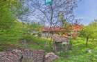 Casa Campani, 8000 mp teren, la poalele Apusenilor - 5