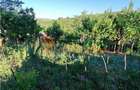 Casă individuală cu 3 camere cu Teren 2545 Mp în Năeni - 22