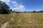 Teren Itcani | 31 Ari | Extravilan | Deschidere 11.5 MP | 93000 Euro - 5