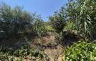 Casă cu 4 camere cu Teren 1458 Mp în Vânători - 7