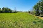Teren intravilan 3800 mp Alparea langa padure - 1
