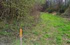 1.700mp intravilan,acces usor,intre case,ideal 2 locuinte/investitie,Lunca Calni - 4