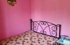 Apartament cu 2 camere semidecomandat în Oancea - 3