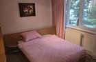 Apartament cu 2 camere zona Centrala Take Ionescu etaj 3 amenajat centrala proprie - 12