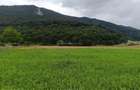 Bra?ov Bartolomeu- Cucului,Intravilan 16.500mp,dezvoltare rezidentiala - 4