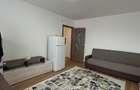 Apartament cu 2 camere in Alexandru - de inchiriat - 5