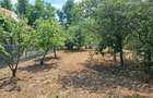 Casa de vinzare cu teren de 2636 mp ieftina la Gherghita pozitie excelenta pentru vila - 5