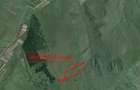 Teren extravilan 54.500 mp, langa padure, intre Lovnic Valeni - 1