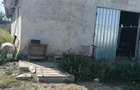 Vind teren ?i construc?ii - 2