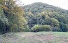 Teren pentru casa de vacanta pe Valea Bratcutei, Bihor - 7