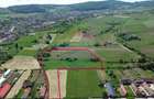Teren de vanzare Blajel, jud. Sibiu | 15.360 mp - p... - 2