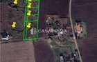 Teren Construcții extravilan de 3000 mp, în Șorogari - 5