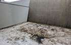 Apartament 3 camere Grigorescu zona Taietura Turcului - 2