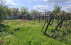 Casa 3 cam. + anexe, teren 2000mp, drum asfaltat Barcanesti(Ialomita) - 4