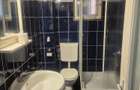 Vila spa?iu multifunc?ional ultracentral Drobeta-Turnu Severin, zona Ada Kaleh 232 mp utili - 5