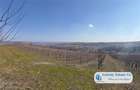 Antony Estate | Oportunitate de investitie, Ferma Padurea Galbena - Cehal, Marghita - 7