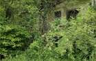 Domeniu verde autentic, +5.000mp, front la DJ, Valcele, Brasov -- Cov - 5