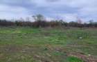Lot de casa 759 m2, Padure Cernica, vis a vis de manastire, fosta Livada - 2