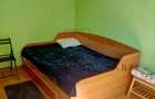 De Inchiriat - Ap. 2 Camere - Pet Friendly -Tiglina 1/Parc Viva - 2