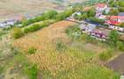 Teren Construcții intravilan de 700 mp, în Valea Lupului - 3