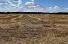 Investi?ie Izvorani: 1.858 mp langa Padurea Snagov. Acces Rapid! - 2