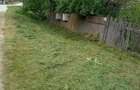 2 case de vinzare IN BOIAN 25000 eur pe casa - 4