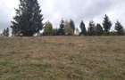 Teren extravilan de 6500 mp, în Arieșeni - 6 Teren extravilan de 6500 mp, în Arieșeni - 6