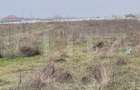 Teren 3.800 mp, deschidere 13.5m, zona Secui - 2