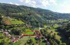 Casa cu anexe ?i teren de 4177 mp de vanzare, Munteni,... - 1