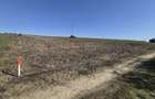 Teren Intravilan 5000mp, Catamaresti-Deal, Botosani. - 1